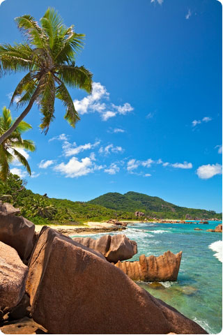 The Question of Suffering: Patience, Mercy, and Meaning article illustration on Nikah4Life