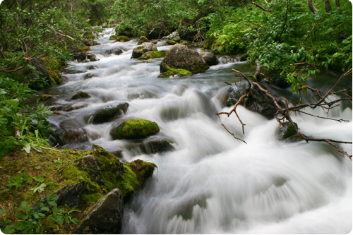 A Cup of Water: Gratitude, Wealth, and the Soul article illustration on Nikah4Life