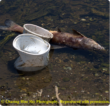 A Cup of Water: Gratitude, Wealth, and the Soul article illustration on Nikah4Life