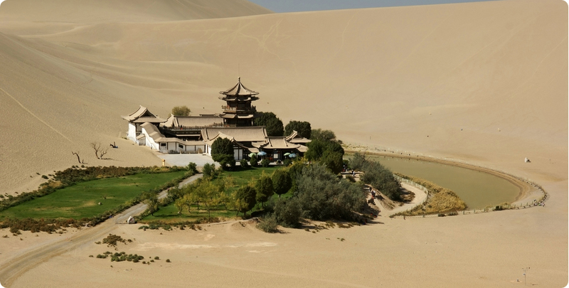 The Fire and the Garden