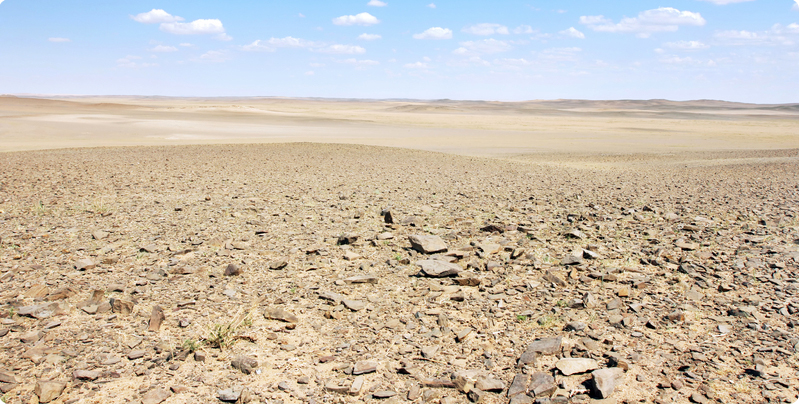 The Fire and the Garden: Judgment and the Hereafter article illustration on Nikah4Life