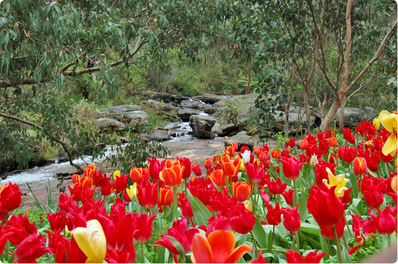 Hands joined to symbolize Islamic marriage, commitment, and trust
